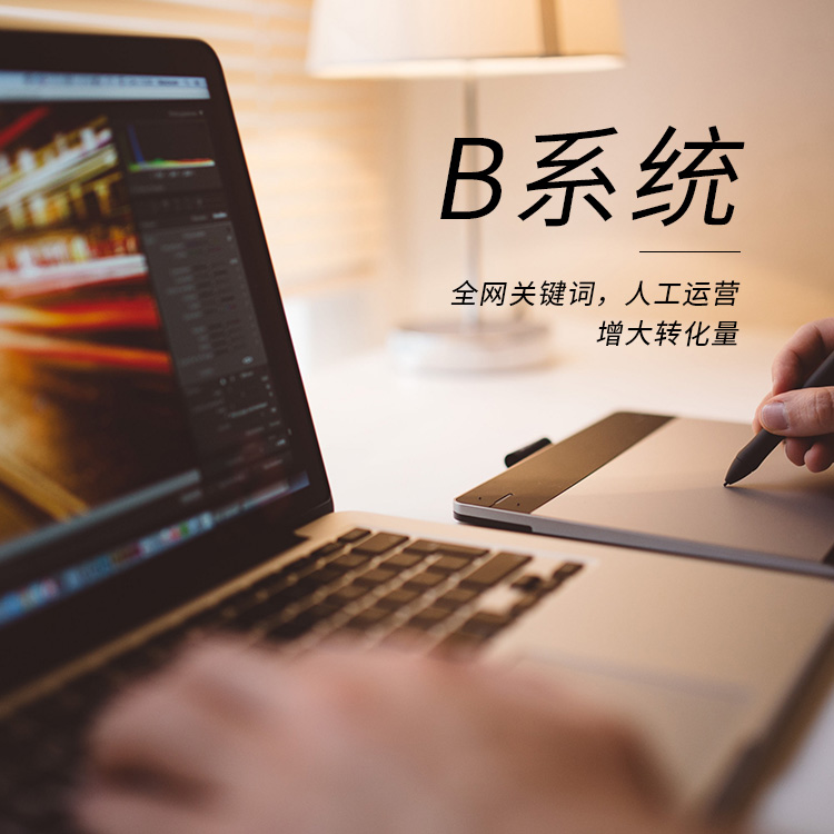 B系統(tǒng).jpg B系統(tǒng).jpg